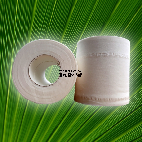 Toilet Rol Unwrapped Livi Evo Premium 150 Roll x 238 Sheet / Dus